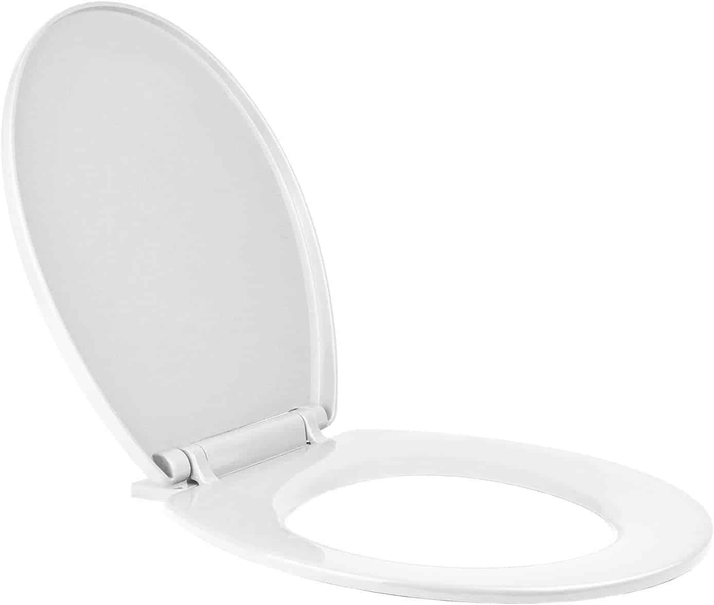 Oval-shaped toilet seats