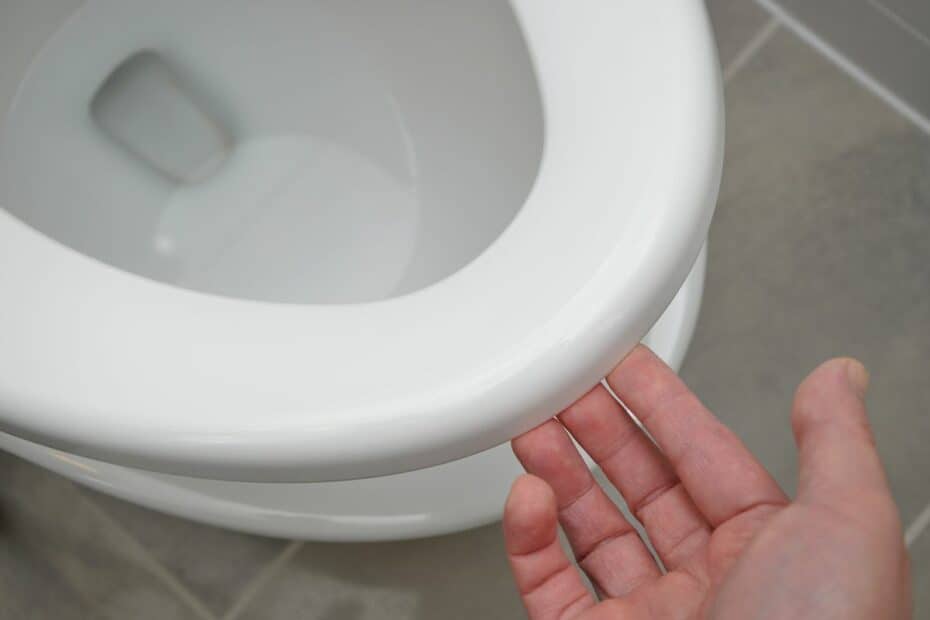Why you should keep your toilet seat down